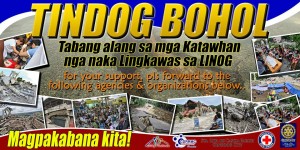 tindogbohol2